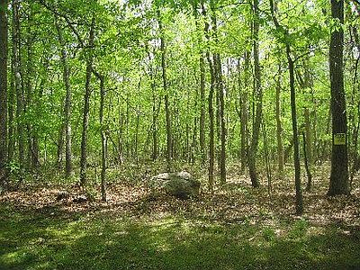 1st image of 1 Dering Woods Ln