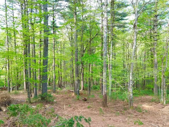 Lot 15 Walden Lane, West Jefferson, NC 28694