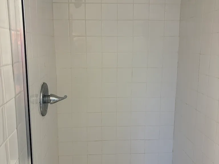 master bath shower