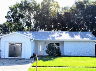 1048 Old Field Dr, Brandon, FL 33511