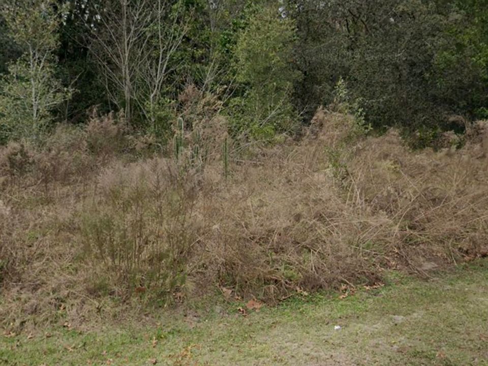 2nd image of 12338 Deep Creek Dr