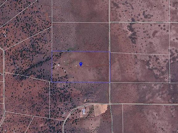 3rd image of 150350 Buffalo Rd