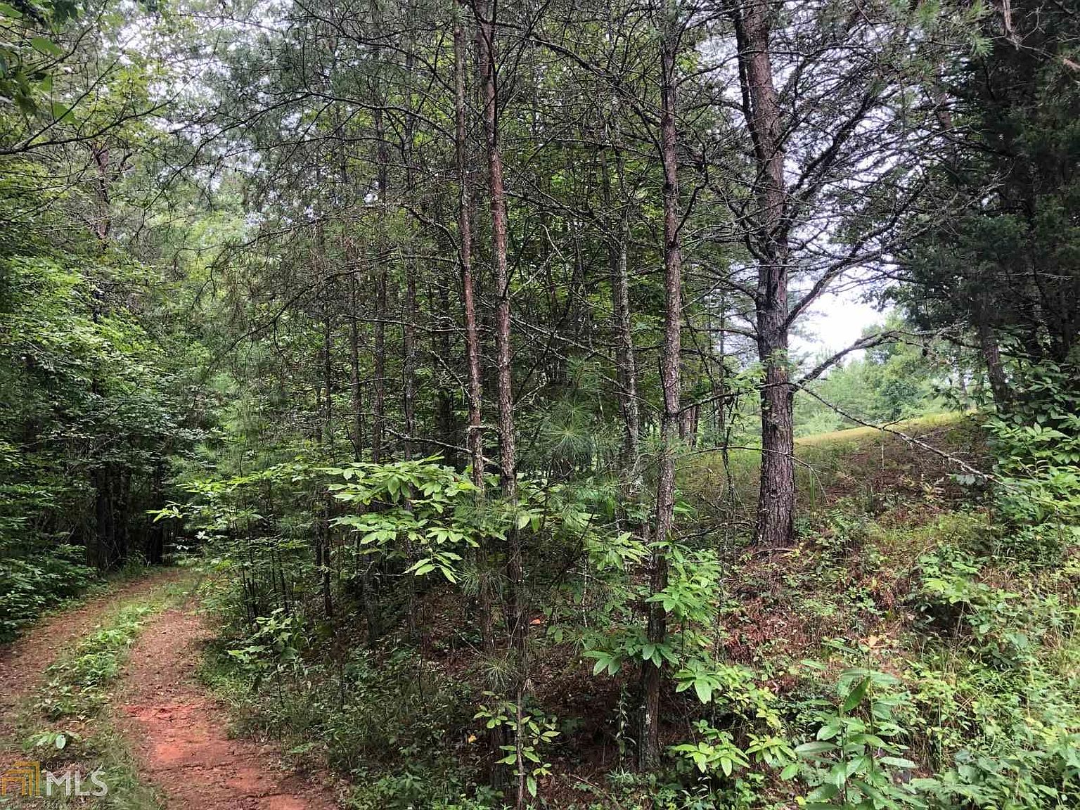 16 Ivylog Rd, Blairsville, GA 30512 Zillow