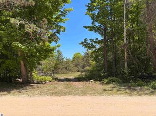 99 N Pine Tree Ln, Beulah, MI 49617