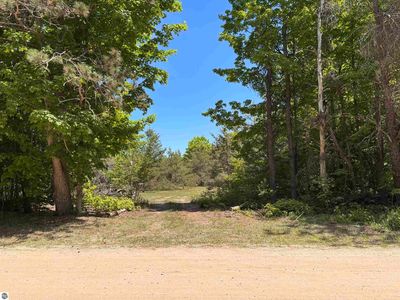 99 N Pine Tree Ln, Beulah, MI, 49617
