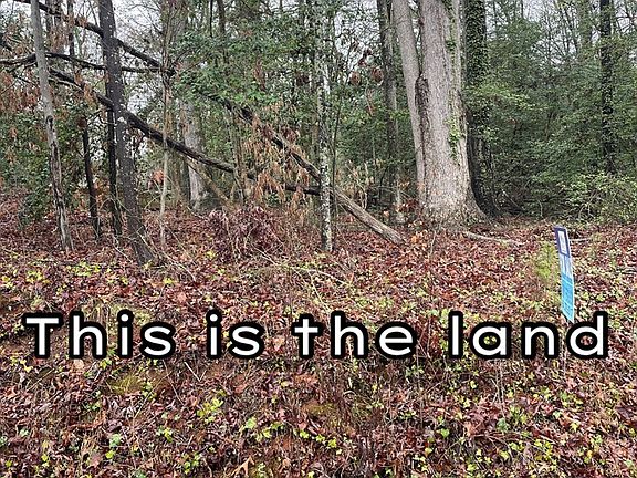 2nd image of 0 McFalls Cir