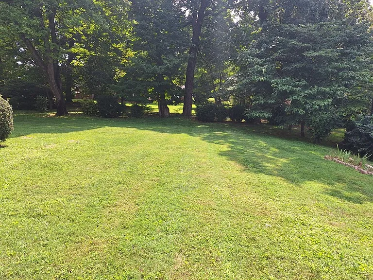 6826 Dorchester Dr — Photo 4