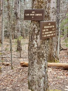 0 Clarks/Woodland Trail #409-4, Alexandria, NH, 03222