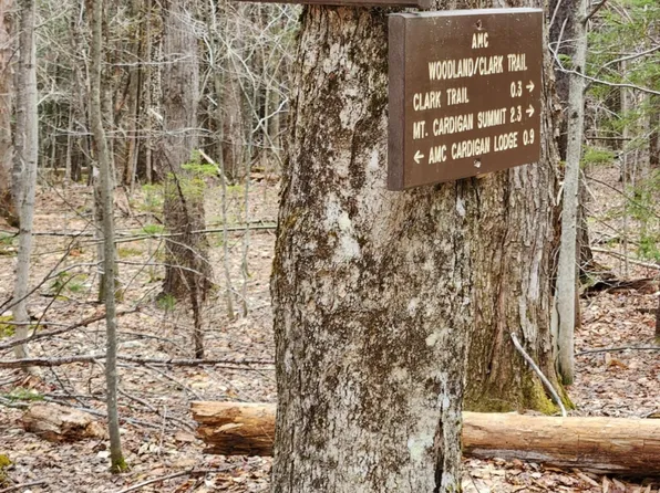 0 Clarks/Woodland Trail #409-4, Alexandria, NH 03220