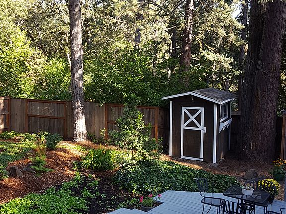 Tall trees, ample sun