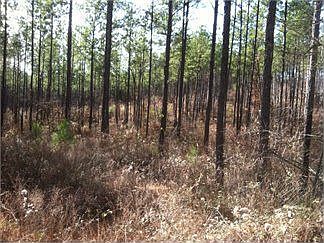 1st image of 3385 Hwy 83 S