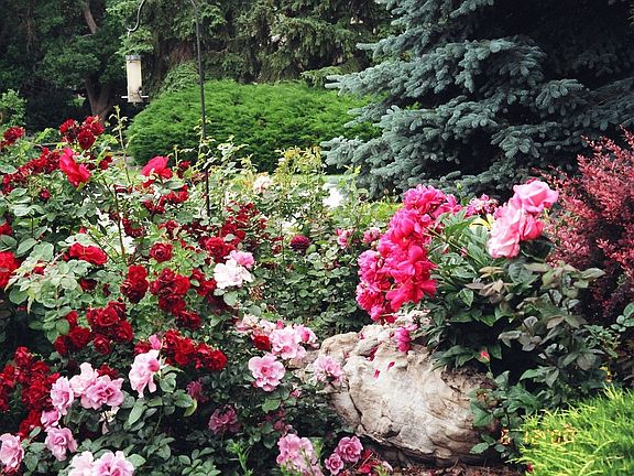Beautiful landscaping