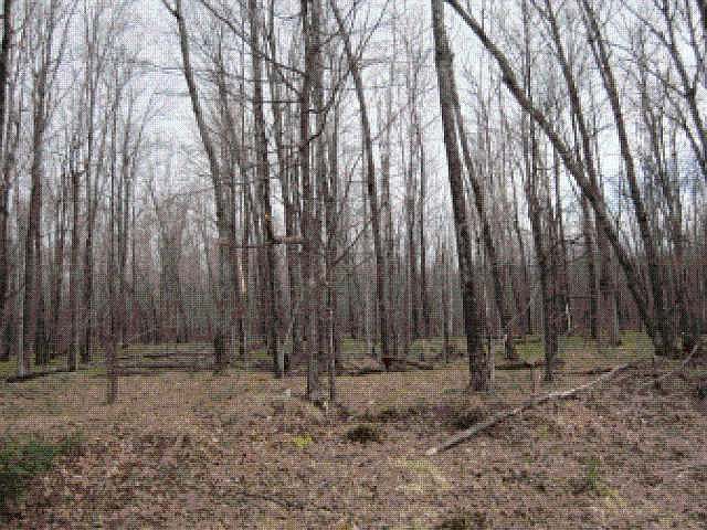 2nd image of On Musser Dr