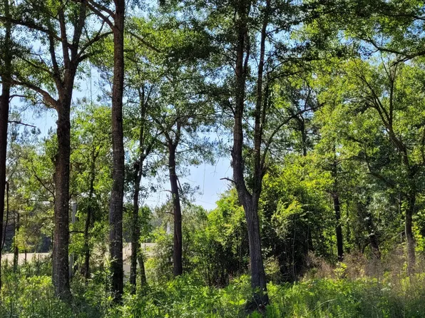 Nhn Dupont Harts Chapel Rd, Poplarville, MS 39470
