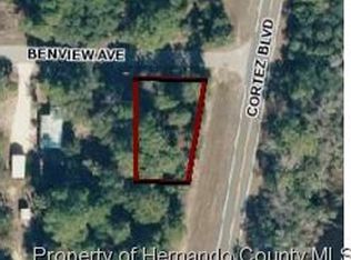 4346 Benview Ave, Weeki Wachee, FL 34607