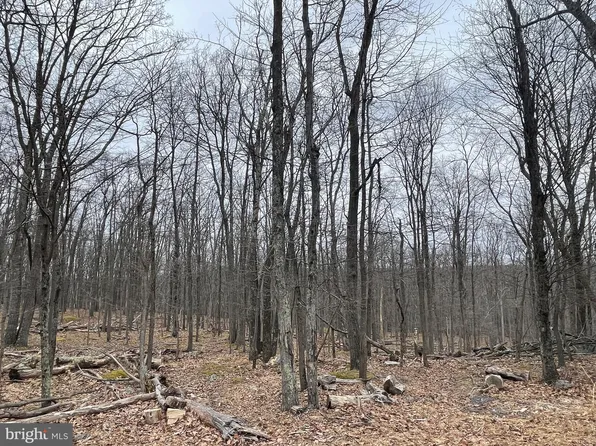504 Haystack Dr, Zion Grove, PA 17985