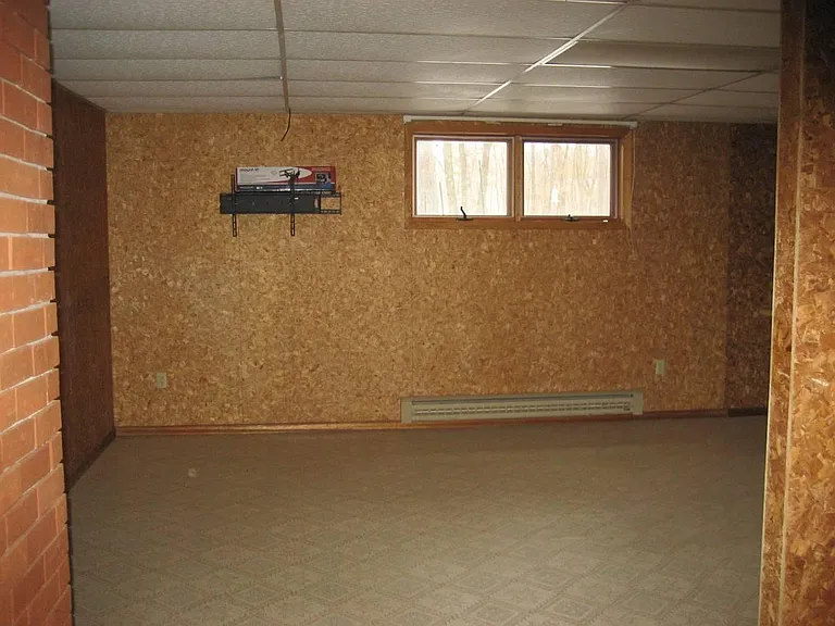 Lower level family room