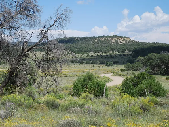 Wildhorse Subdivision 10 Lots, Pie Town, NM 87827