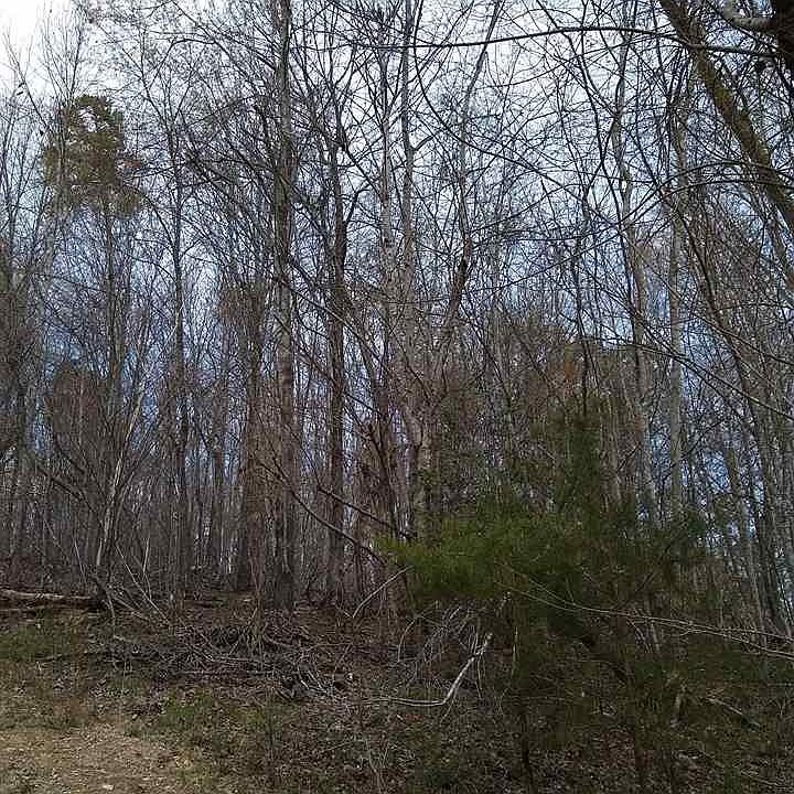 1st image of 711 Graysville Rd