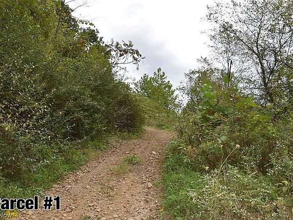 5th image of Hazel Run Rd
