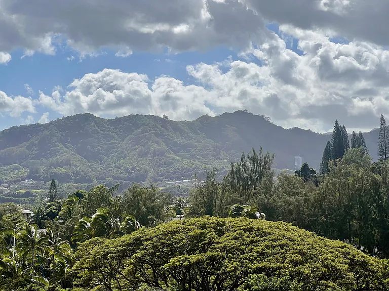45-995 Wailele Rd #51 — Photo 10