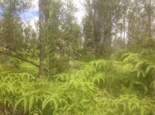 LOT 13 Lot 13, Volcano, HI 96785