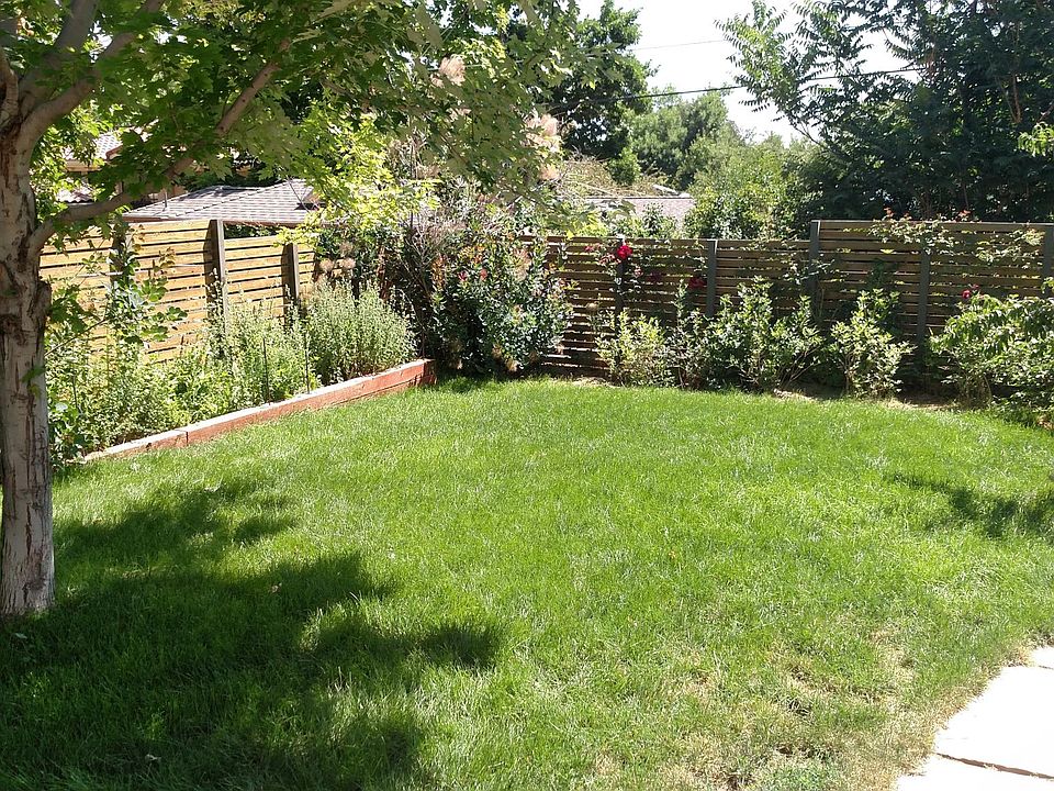 Back yard and garden