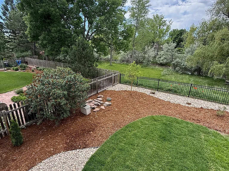 Back yard
