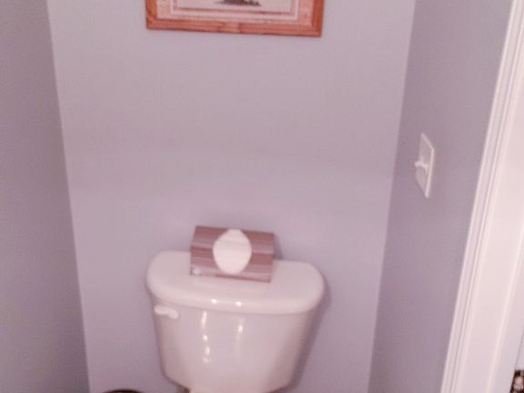 Downstairs half bath