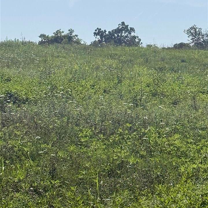 2nd image of 20 Talley Rd