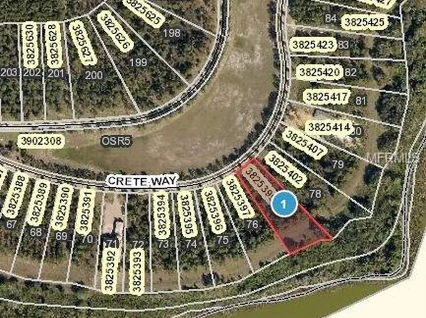 16949 Crete Way, Montverde, FL 34756