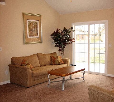 5th image of 532 Rose Cottage Cir