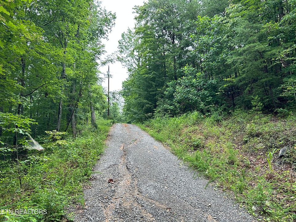 2nd image of Black Oak Dr