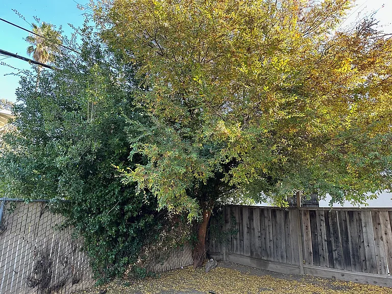 778 Teresi Ct #4 — Photo 20