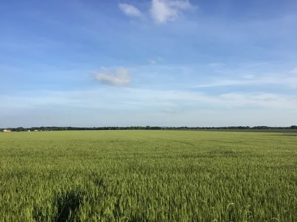 103 Cr, Grandview, TX 76050