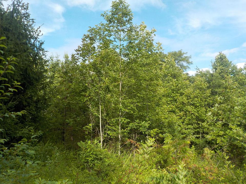2nd image of Grand View Dr