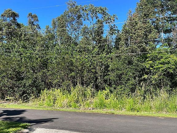 4th image of Hinalea St Lot 342