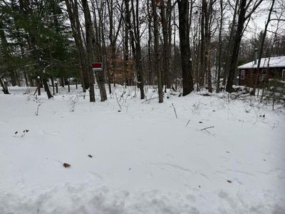 9861 E School Section Lake Dr, Mecosta, MI, 49332