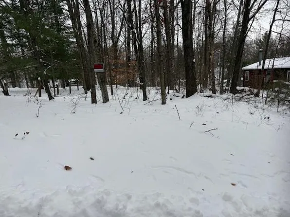 9861 E School Section Lake Dr, Mecosta, MI 49332