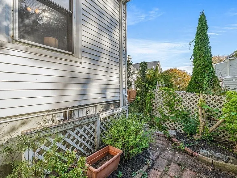 Backyard area