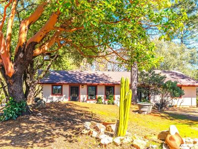 15360 Lupe Rd, Pine Grove, CA, 95665