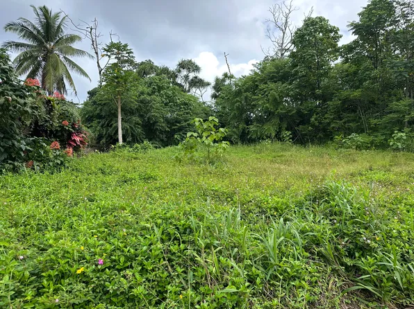 Oopu St Lot 1584, Pahoa, HI 96778