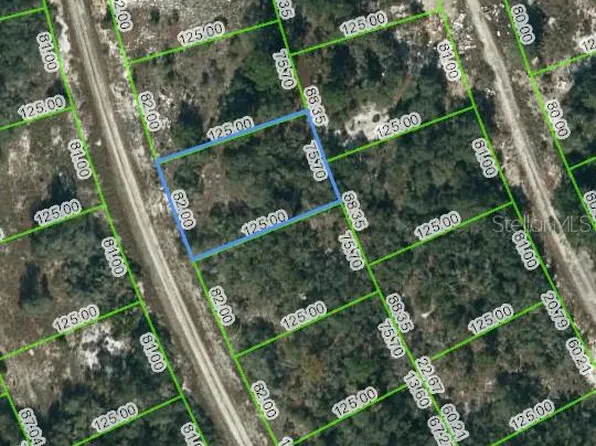 217 Blue Sky Dr #22, Lake Placid, FL 33852