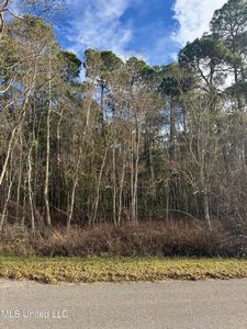 LOT 2225 Peach St Lot 2225, Ocean Springs, MS, 39564