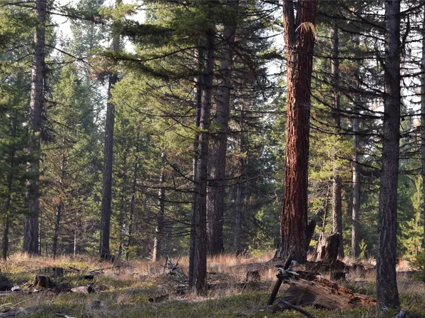 Nhn Highway 2, Marion, MT 59925