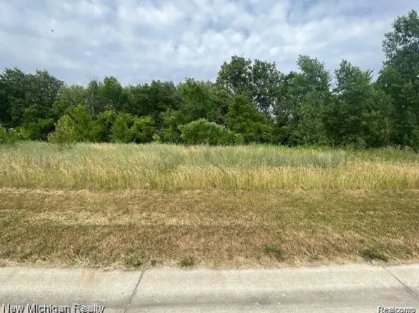 14329 Wright Dr, Linden, MI 48451