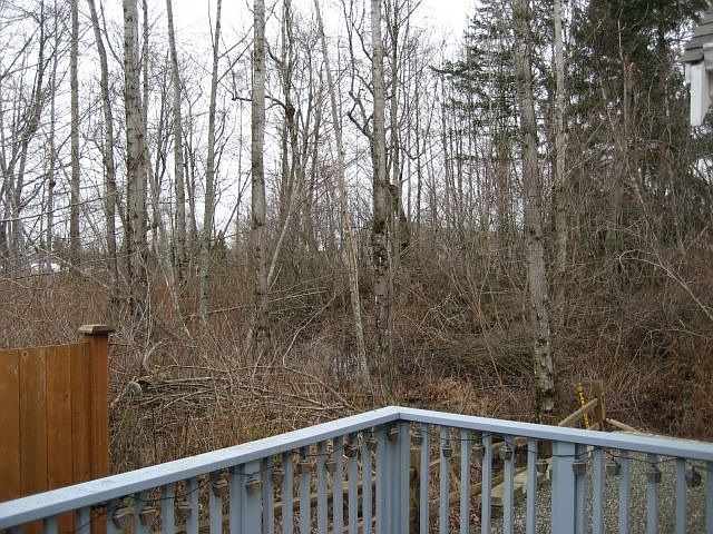 Peaceful Backyard Greenbelt!