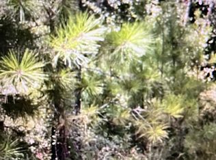 Lots #6 & 5, Denton, GA 31532