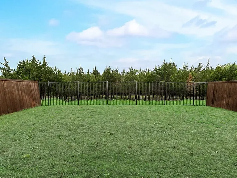 1339 Great Sand Dune St — Photo 19