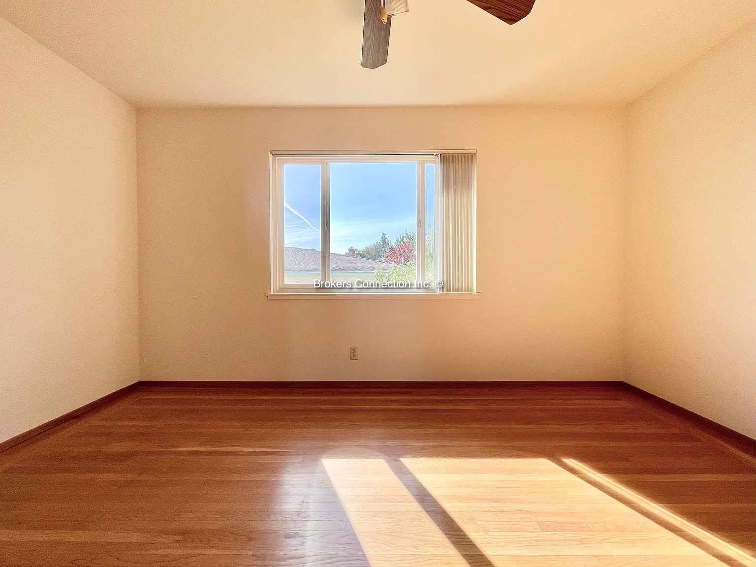 1 bed, 800 sqft, $2,910 — Photo 2